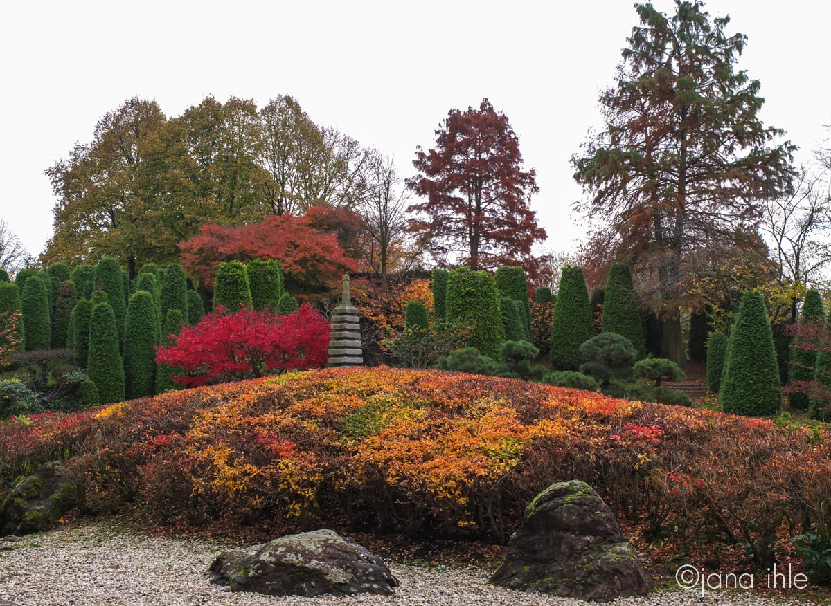 Japanischer Garten Bonn